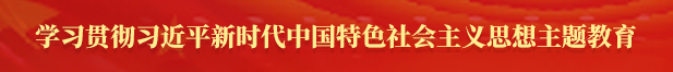 學習貫徹習近平新時代中國特色社會主義思想主題教育